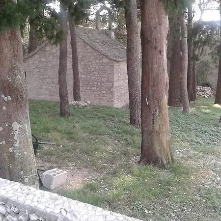 Perovic