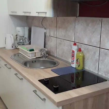 Apartment Perovic *